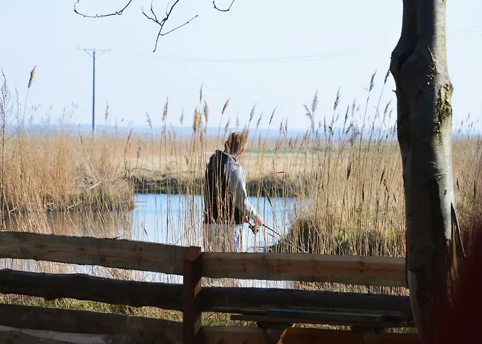 Nad Stara Rega 롯지 *